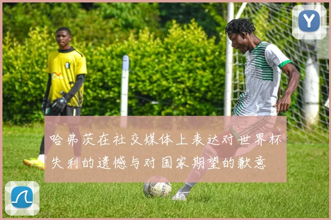 哈弗茨在社交媒体上表达对世界杯失利的遗憾与对国家期望的歉意