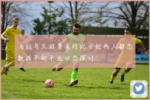 马拉与文班身高对比分析两人静态数据平起平坐状态探讨